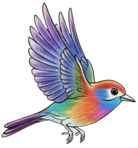 Rainbow Bird in flight